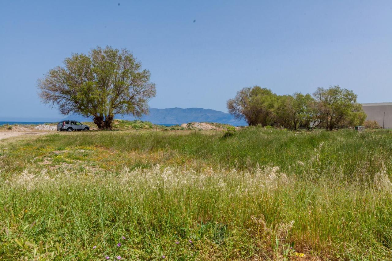 Kissamos Sea View Beach Apartments Eksteriør billede