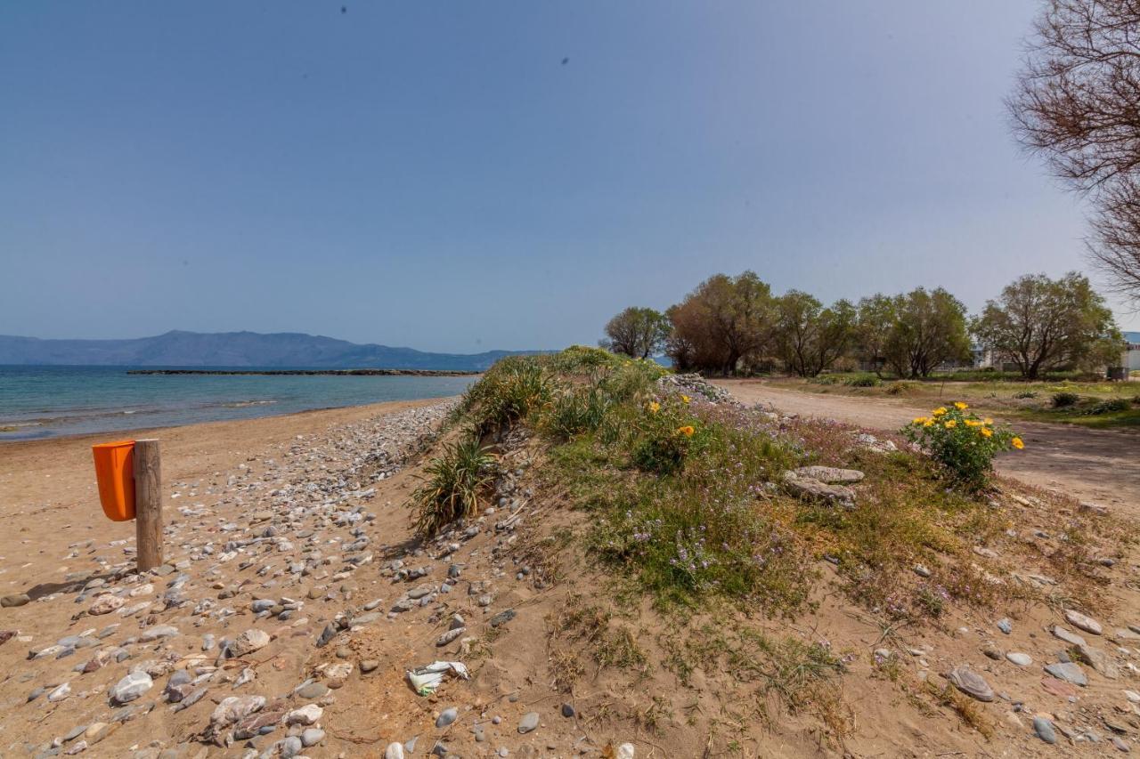 Kissamos Sea View Beach Apartments Eksteriør billede